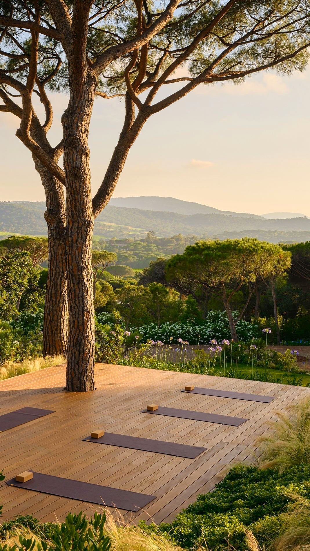 Outdoor yoga deck under a pine tree, overlooking the Mediterranean hillside